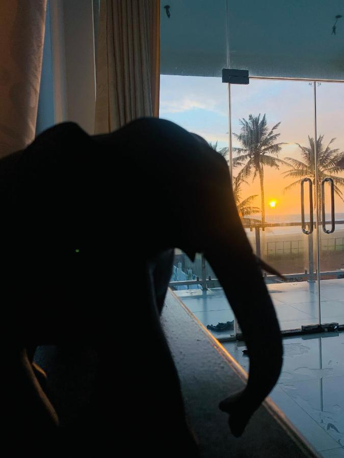 Kavin Beach Hotel Hikkaduwa Eksteriør bilde